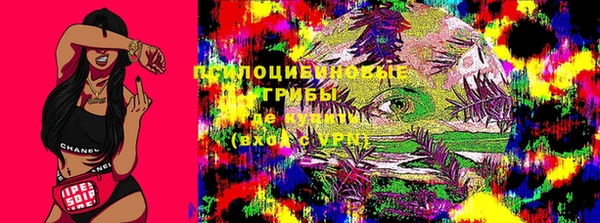 Альфа ПВП Аркадак