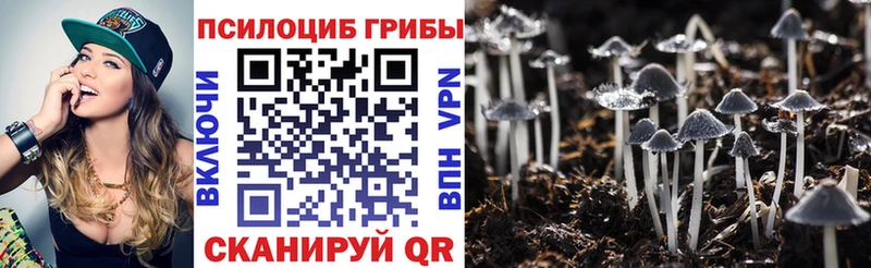 Псилоцибиновые грибы прущие грибы  Новая Ладога 